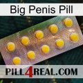 Big Penis Pill new11